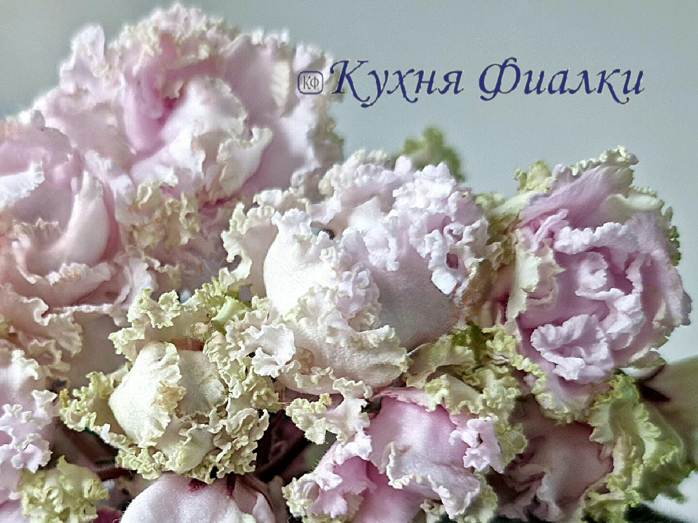 Селекция Н.Козак